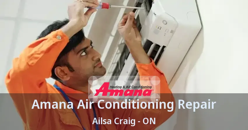 Amana Air Conditioning Repair Ailsa Craig - ON