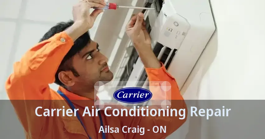 Carrier Air Conditioning Repair Ailsa Craig - ON