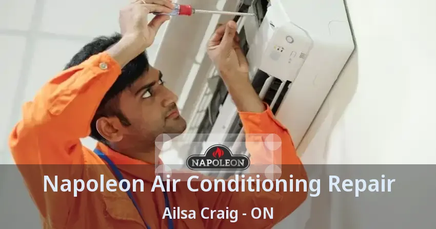 Napoleon Air Conditioning Repair Ailsa Craig - ON