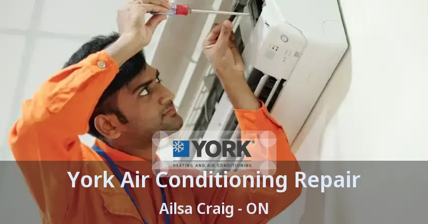 York Air Conditioning Repair Ailsa Craig - ON