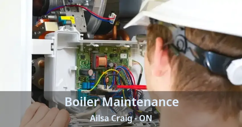 Boiler Maintenance Ailsa Craig - ON