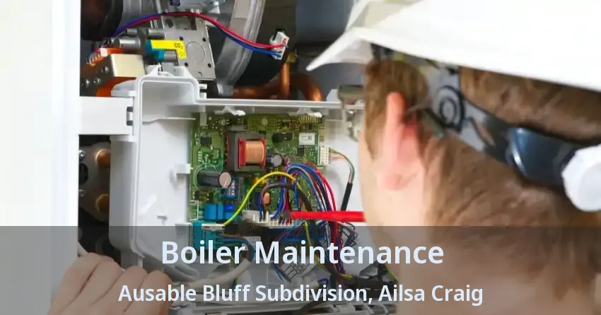Boiler Maintenance Ausable Bluff Subdivision, Ailsa Craig - ON