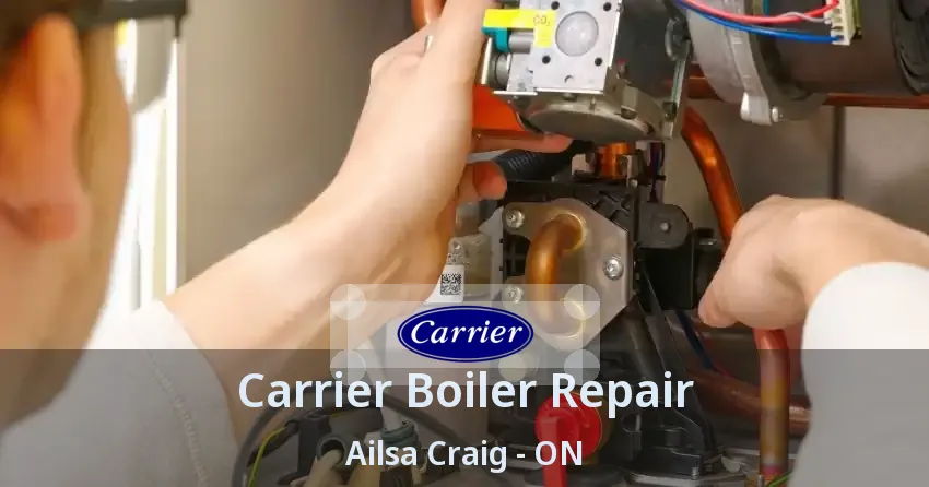 Carrier Boiler Repair Ailsa Craig - ON
