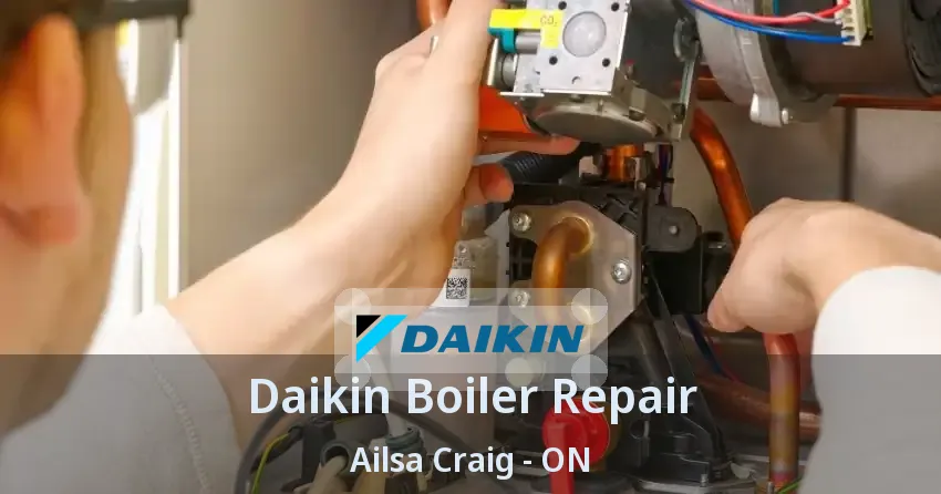 Daikin Boiler Repair Ailsa Craig - ON