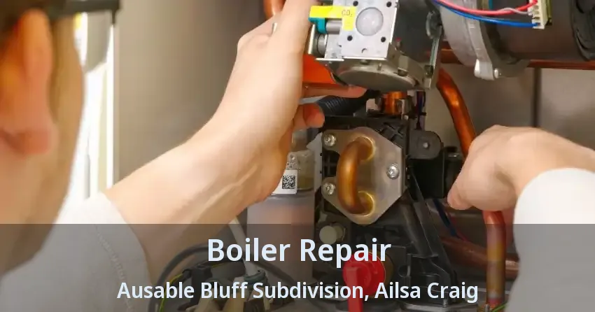 Boiler Repair Ausable Bluff Subdivision, Ailsa Craig - ON