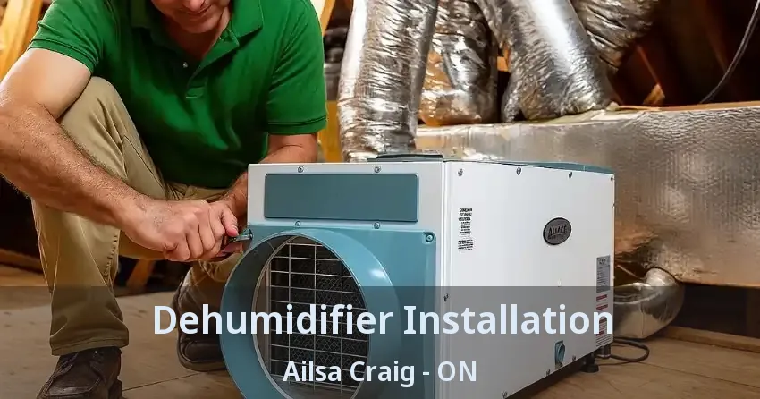 Dehumidifier Installation Ailsa Craig - ON