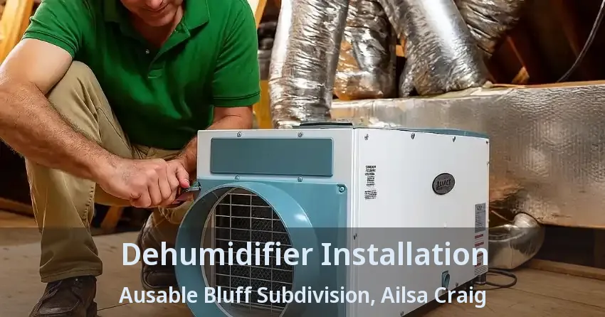 Dehumidifier Installation Ausable Bluff Subdivision, Ailsa Craig - ON