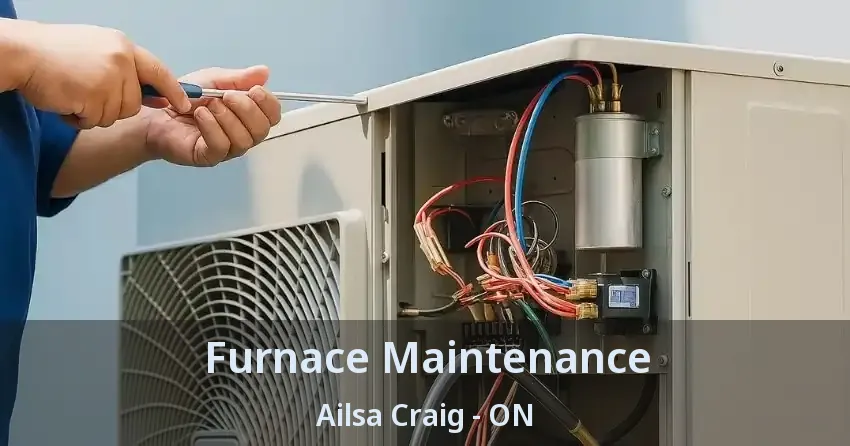 Furnace Maintenance Ailsa Craig - ON