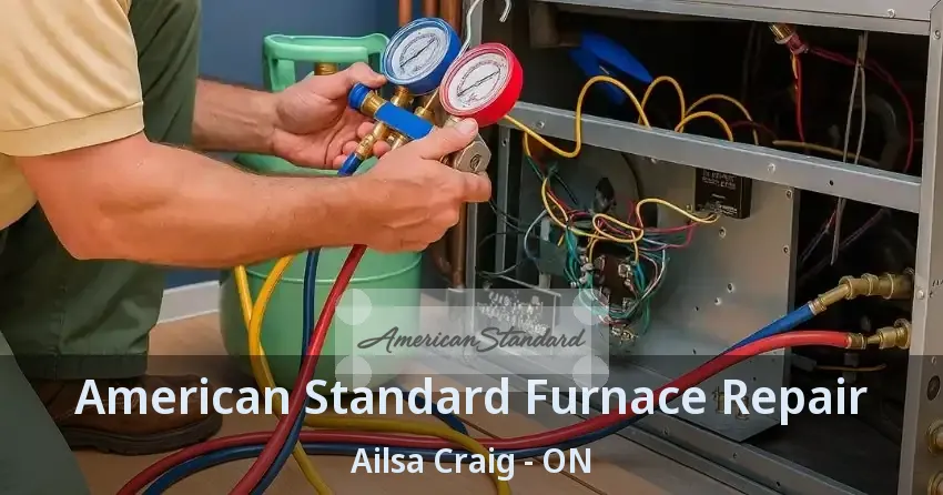 American Standard Furnace Repair Ailsa Craig - ON