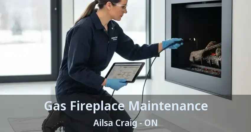 Gas Fireplace Maintenance Ailsa Craig - ON