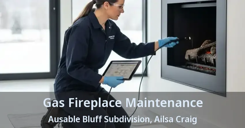 Gas Fireplace Maintenance Ausable Bluff Subdivision, Ailsa Craig - ON Gas Fireplace Maintenance Ausable Bluff Subdivision, Ailsa Craig - ON