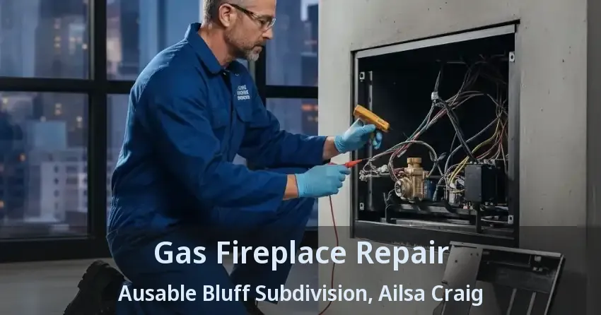 Gas Fireplace Repair Ausable Bluff Subdivision, Ailsa Craig - ON