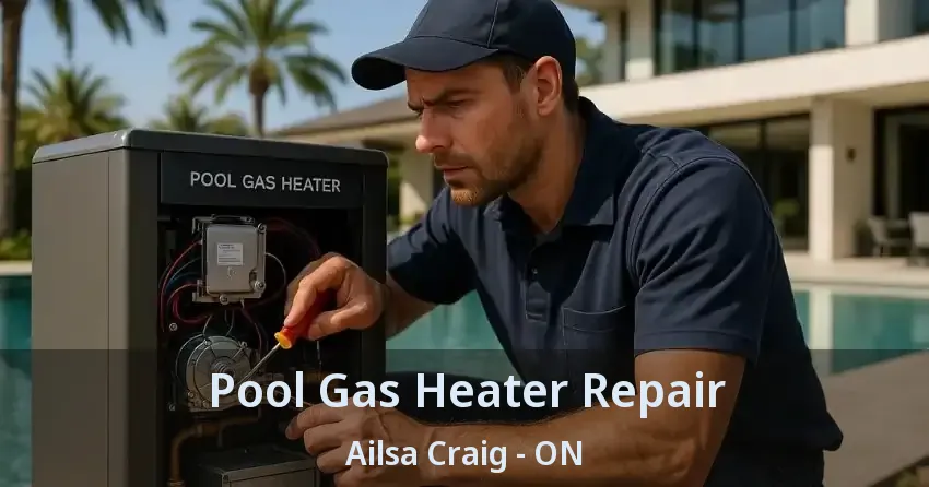 Pool Gas Heater Repair Ailsa Craig - ON