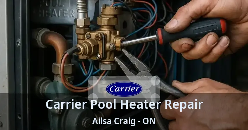 Carrier Pool Heater Repair Ailsa Craig - ON